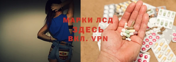 эйфоретик Алзамай