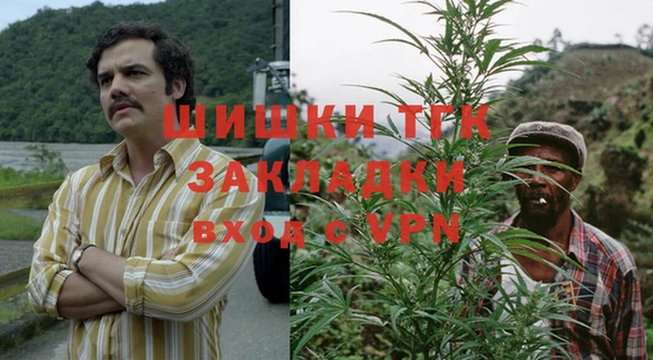 соль ск Алексин